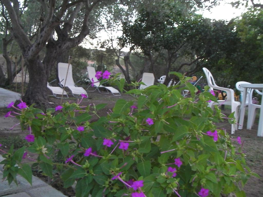 Villa Arancio Giorgio Cala Liberotto Exteriör bild