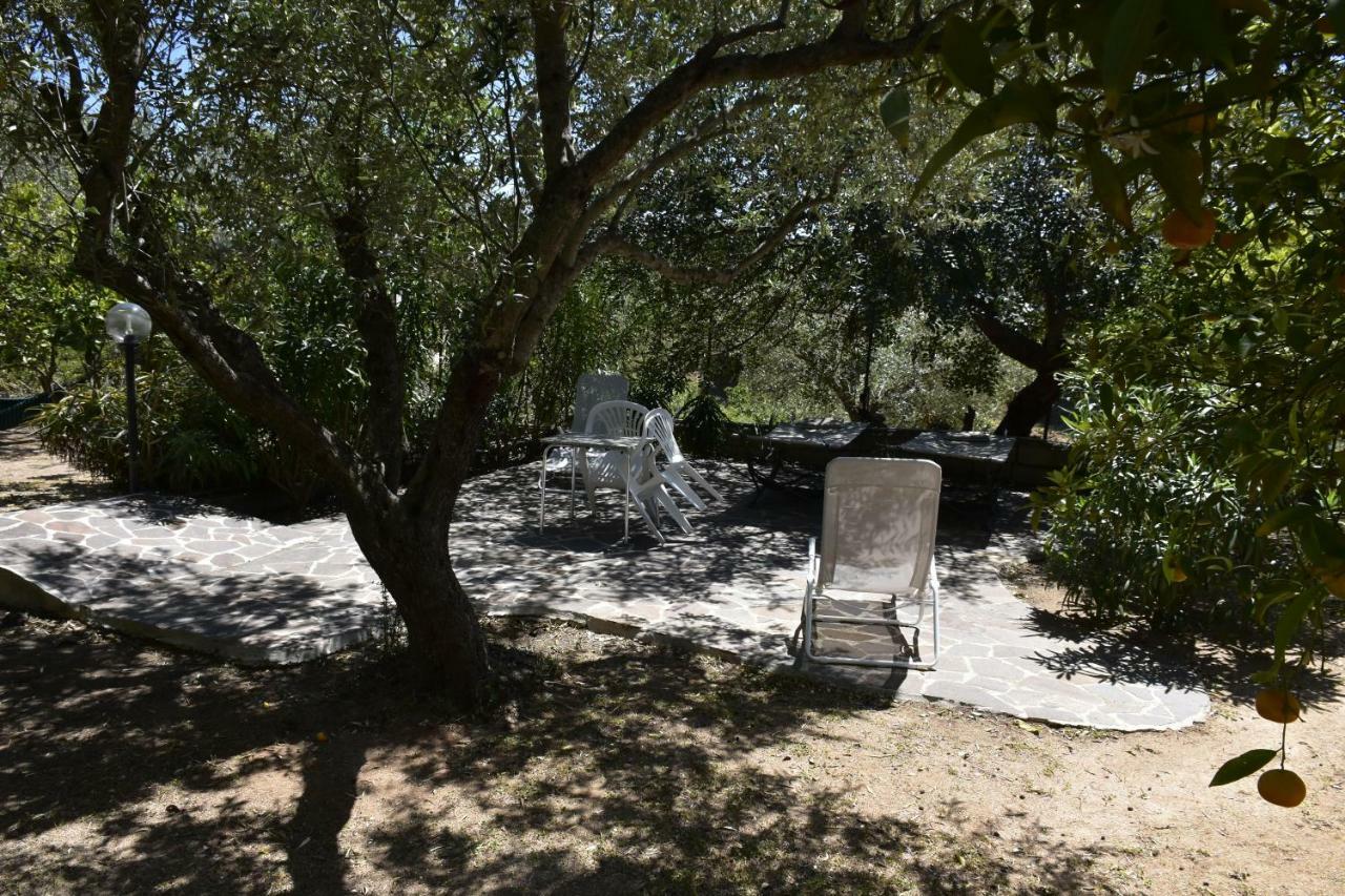 Villa Arancio Giorgio Cala Liberotto Exteriör bild